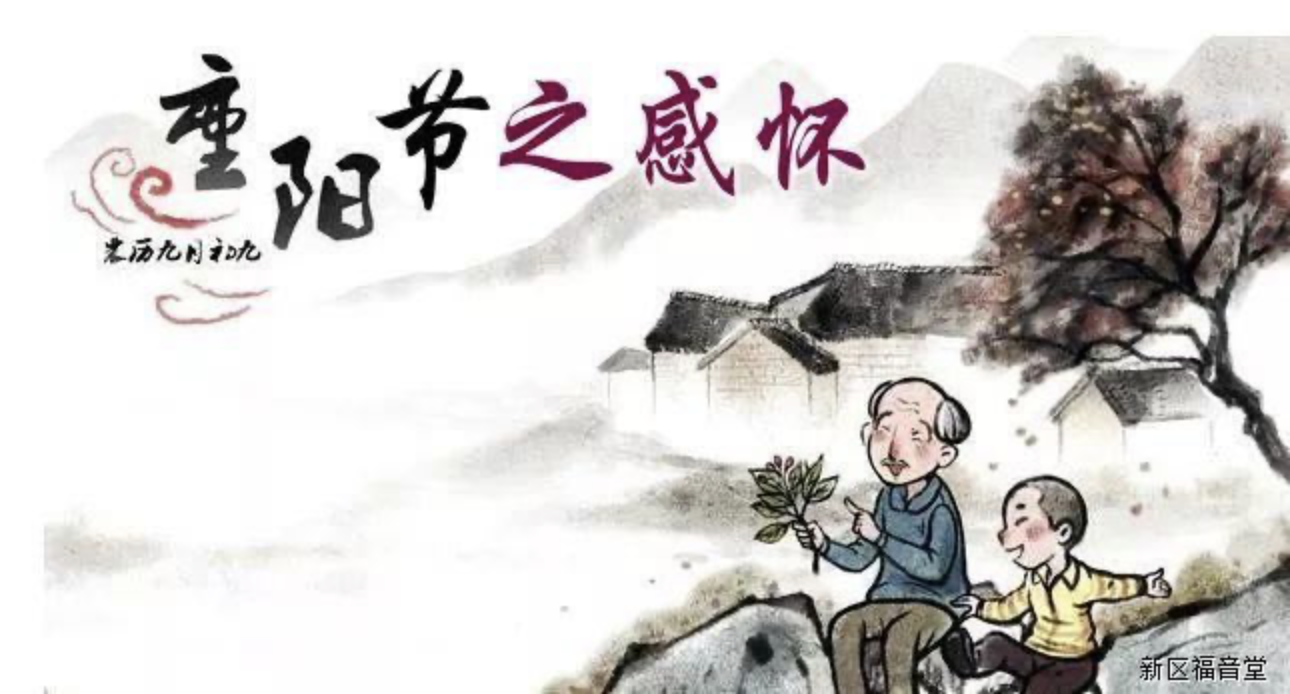 重阳节感怀