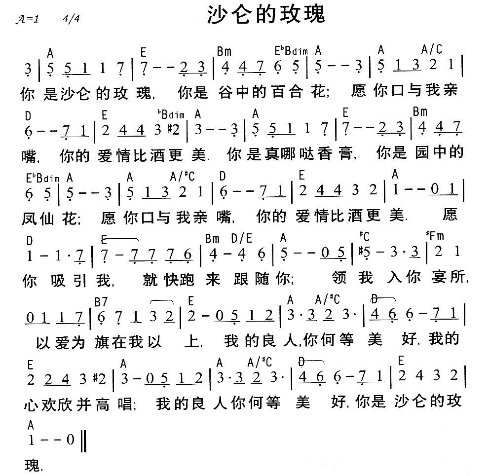 沙仑的玫瑰.jpg